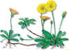 Vellosilla